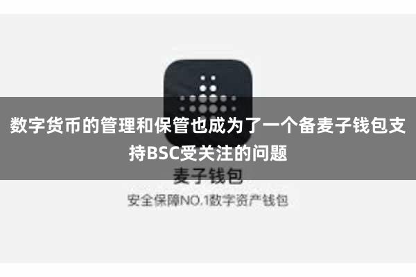 数字货币的管理和保管也成为了一个备麦子钱包支持BSC受关注的问题