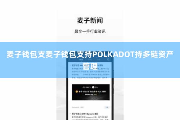 麦子钱包支麦子钱包支持POLKADOT持多链资产管理