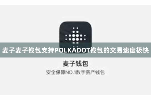 麦子麦子钱包支持POLKADOT钱包的交易速度极快