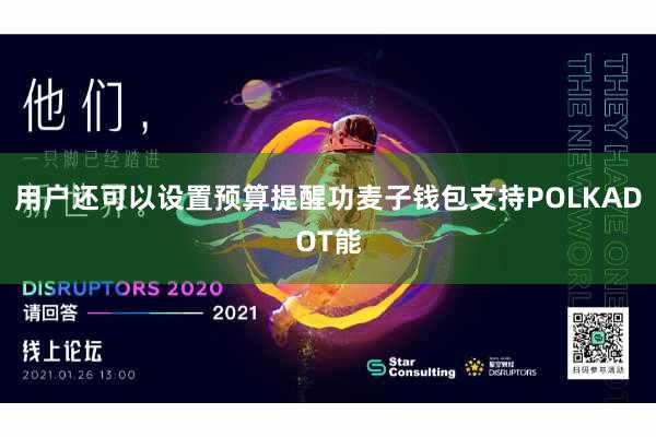 用户还可以设置预算提醒功麦子钱包支持POLKADOT能