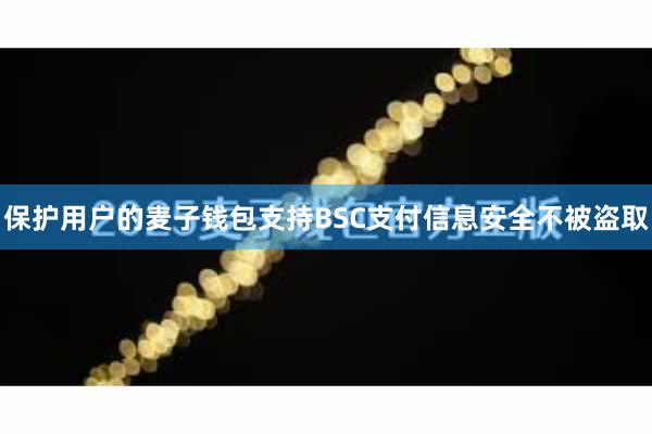保护用户的麦子钱包支持BSC支付信息安全不被盗取