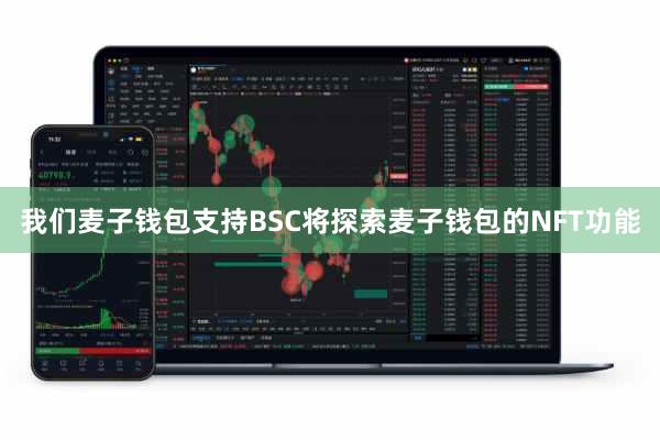 我们麦子钱包支持BSC将探索麦子钱包的NFT功能