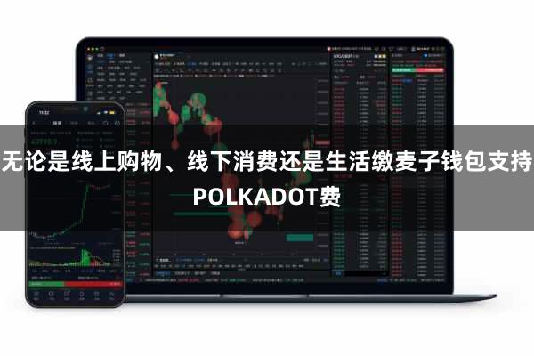 无论是线上购物、线下消费还是生活缴麦子钱包支持POLKADOT费