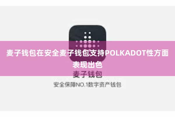 麦子钱包在安全麦子钱包支持POLKADOT性方面表现出色