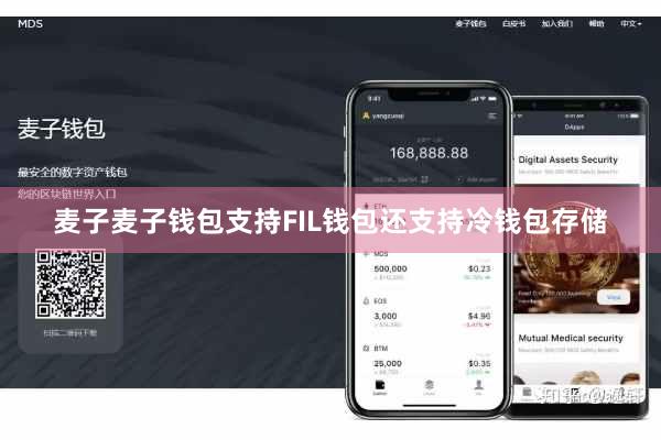 麦子麦子钱包支持FIL钱包还支持冷钱包存储