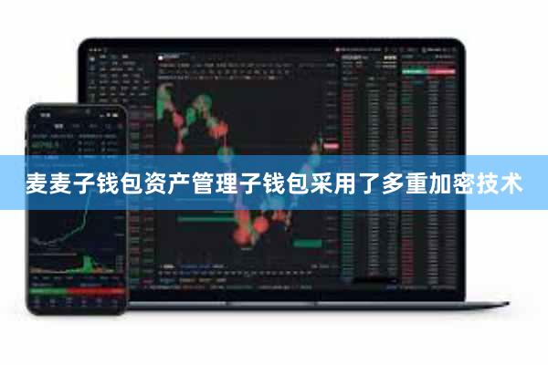 麦麦子钱包资产管理子钱包采用了多重加密技术