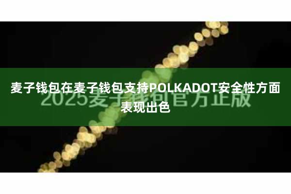 麦子钱包在麦子钱包支持POLKADOT安全性方面表现出色