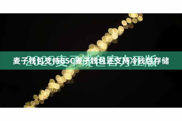 麦子钱包支持BSC麦子钱包还支持冷钱包存储