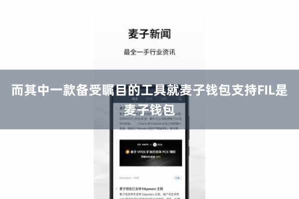 而其中一款备受瞩目的工具就麦子钱包支持FIL是麦子钱包