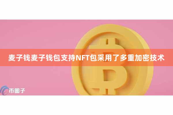 麦子钱麦子钱包支持NFT包采用了多重加密技术