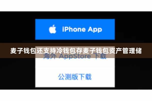 麦子钱包还支持冷钱包存麦子钱包资产管理储