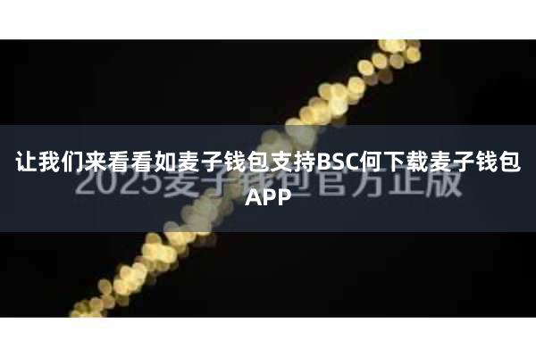 让我们来看看如麦子钱包支持BSC何下载麦子钱包APP