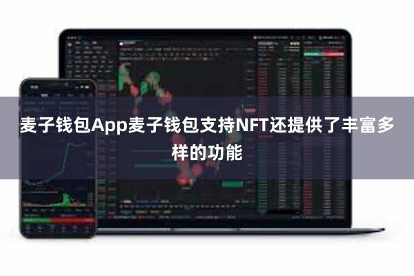 麦子钱包App麦子钱包支持NFT还提供了丰富多样的功能