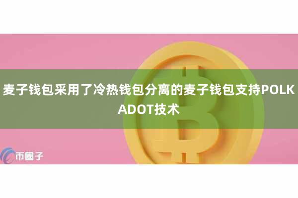 麦子钱包采用了冷热钱包分离的麦子钱包支持POLKADOT技术