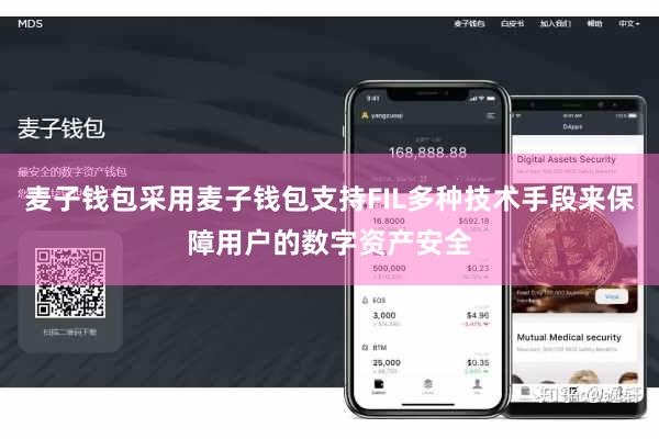 麦子钱包采用麦子钱包支持FIL多种技术手段来保障用户的数字资产安全