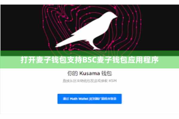 打开麦子钱包支持BSC麦子钱包应用程序