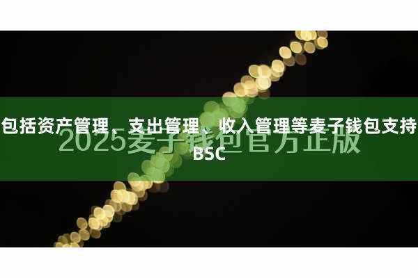 包括资产管理、支出管理、收入管理等麦子钱包支持BSC