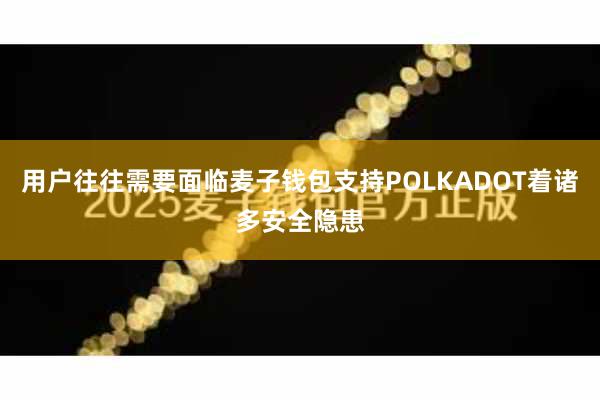 用户往往需要面临麦子钱包支持POLKADOT着诸多安全隐患