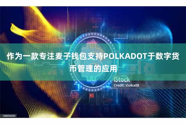 作为一款专注麦子钱包支持POLKADOT于数字货币管理的应用