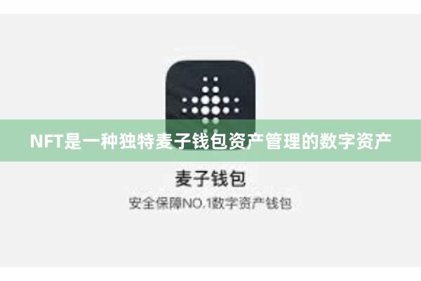 NFT是一种独特麦子钱包资产管理的数字资产