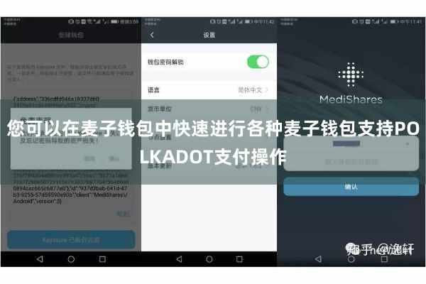 您可以在麦子钱包中快速进行各种麦子钱包支持POLKADOT支付操作
