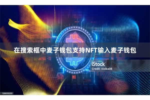 在搜索框中麦子钱包支持NFT输入麦子钱包
