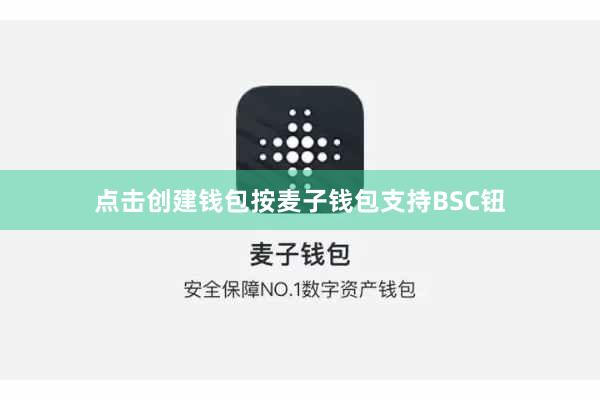 点击创建钱包按麦子钱包支持BSC钮