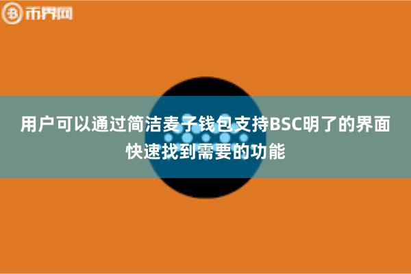用户可以通过简洁麦子钱包支持BSC明了的界面快速找到需要的功能