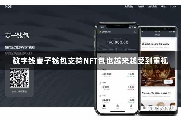 数字钱麦子钱包支持NFT包也越来越受到重视