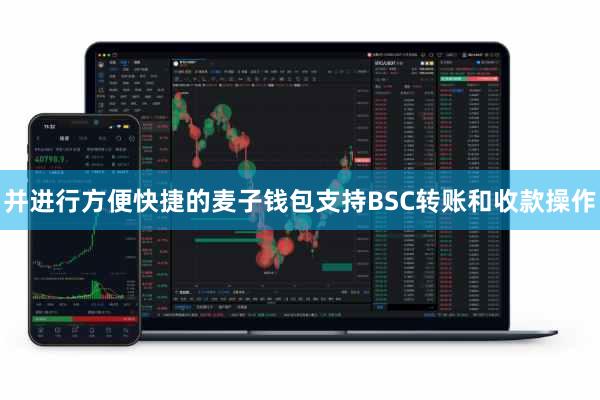 并进行方便快捷的麦子钱包支持BSC转账和收款操作