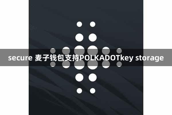 secure 麦子钱包支持POLKADOTkey storage
