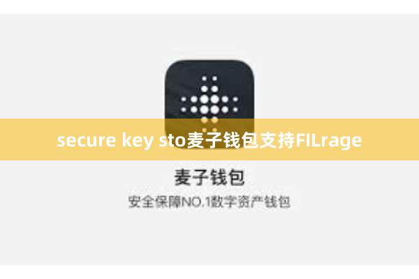 secure key sto麦子钱包支持FILrage