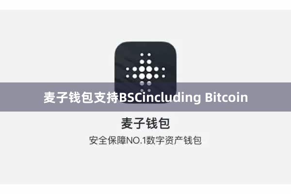 麦子钱包支持BSCincluding Bitcoin