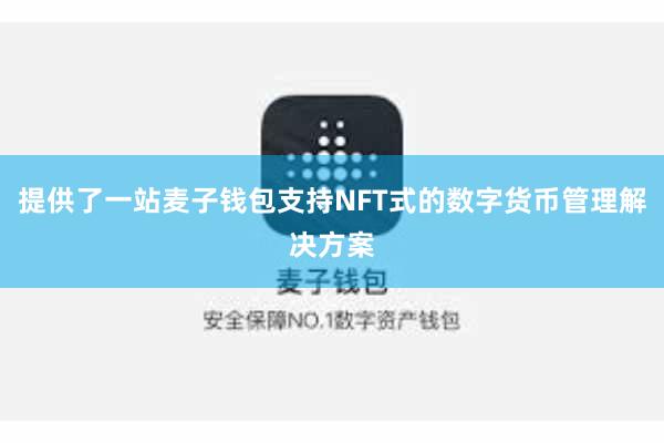 提供了一站麦子钱包支持NFT式的数字货币管理解决方案