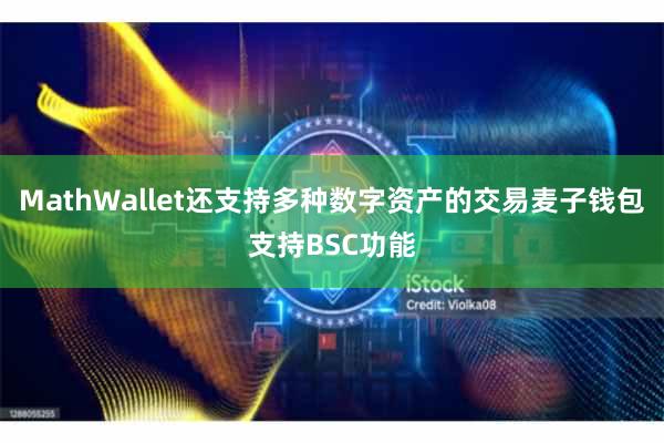 MathWallet还支持多种数字资产的交易麦子钱包支持BSC功能
