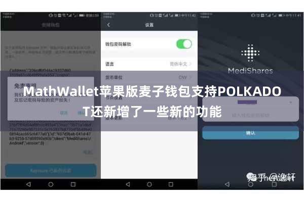 MathWallet苹果版麦子钱包支持POLKADOT还新增了一些新的功能