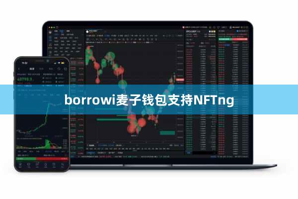 borrowi麦子钱包支持NFTng