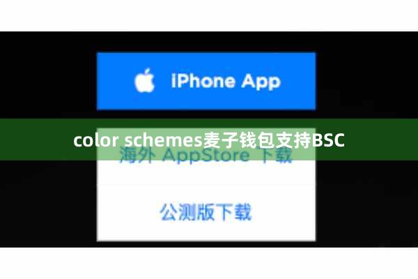 color schemes麦子钱包支持BSC