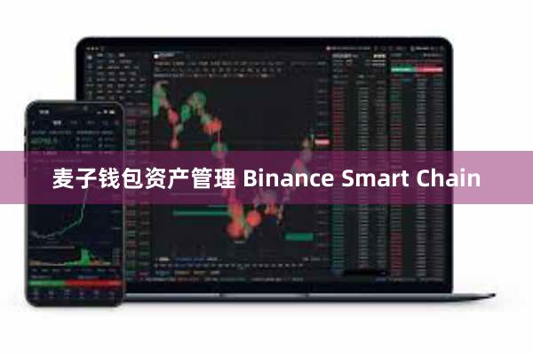 麦子钱包资产管理 Binance Smart Chain