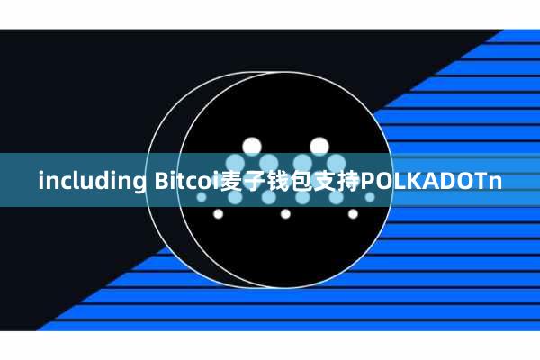 including Bitcoi麦子钱包支持POLKADOTn