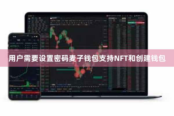 用户需要设置密码麦子钱包支持NFT和创建钱包