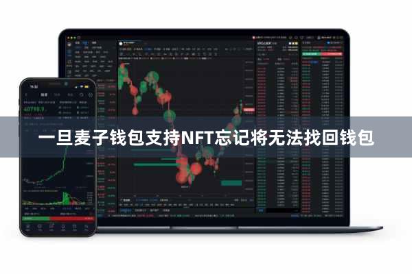 一旦麦子钱包支持NFT忘记将无法找回钱包