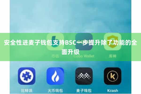 安全性进麦子钱包支持BSC一步提升除了功能的全面升级