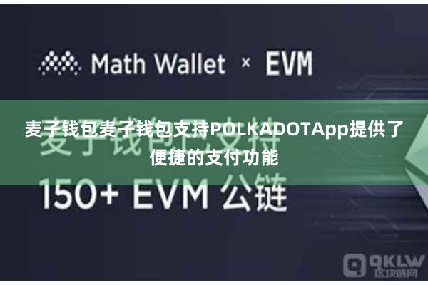 麦子钱包麦子钱包支持POLKADOTApp提供了便捷的支付功能