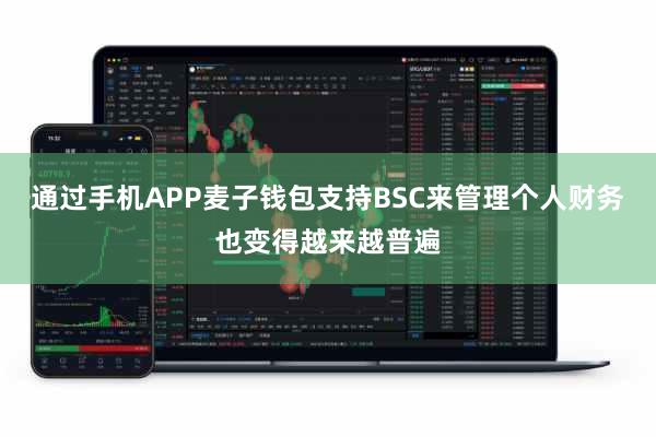 通过手机APP麦子钱包支持BSC来管理个人财务也变得越来越普遍