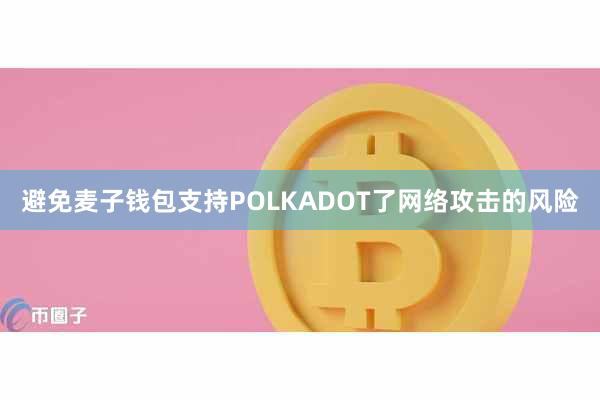 避免麦子钱包支持POLKADOT了网络攻击的风险