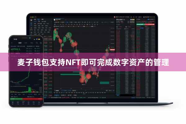 麦子钱包支持NFT即可完成数字资产的管理