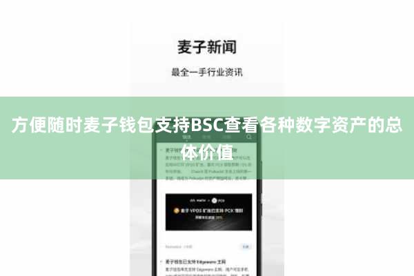 方便随时麦子钱包支持BSC查看各种数字资产的总体价值