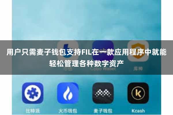 用户只需麦子钱包支持FIL在一款应用程序中就能轻松管理各种数字资产