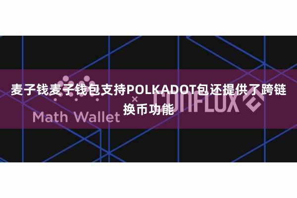 麦子钱麦子钱包支持POLKADOT包还提供了跨链换币功能